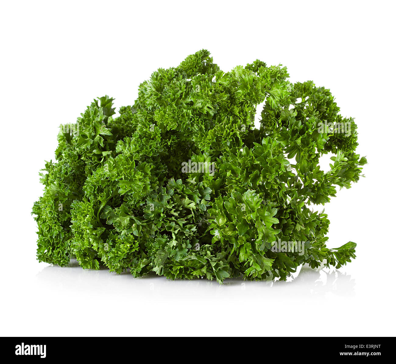 Curly parsley white background hires stock photography and images Alamy