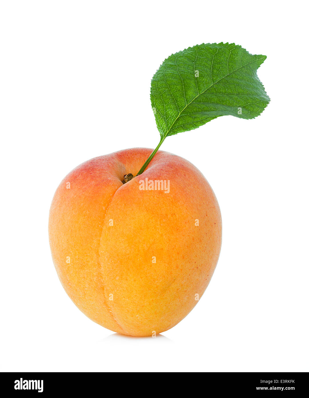Ripe apricot fruit isolated on white background Stock Photo - Alamy
