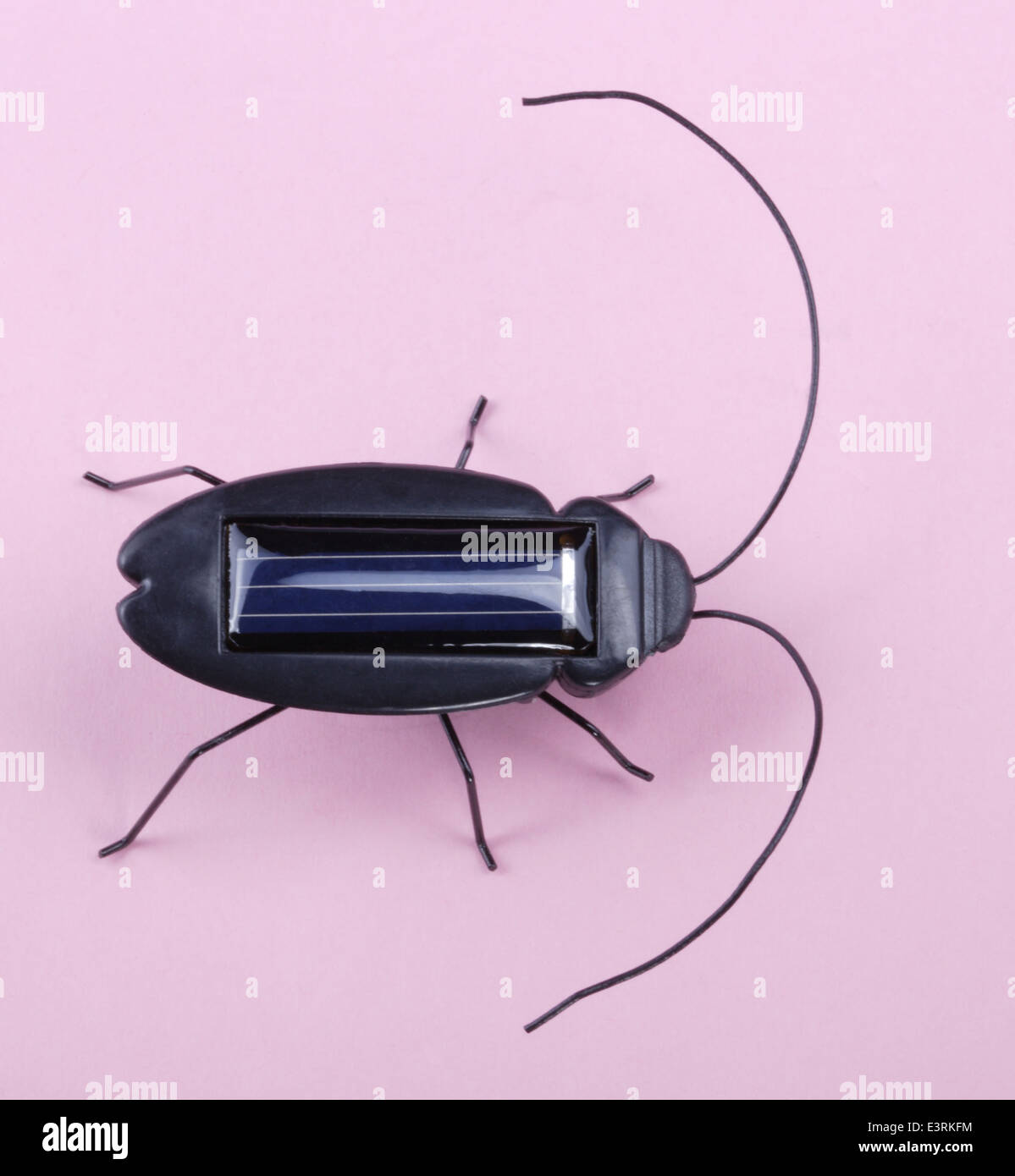 Electronic Bug Toy on Pink Background Stock Photo Alamy