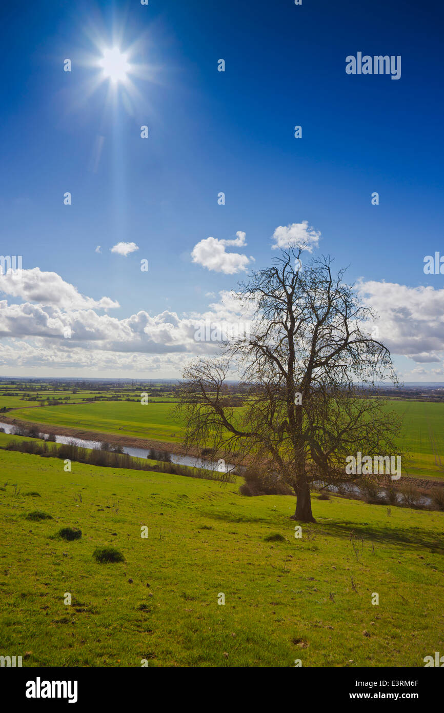 The King's Sedgemoor Drain - an artificial drainage channel from 1795 drains the Somerset Levels into the River Parrett, England Stock Photo