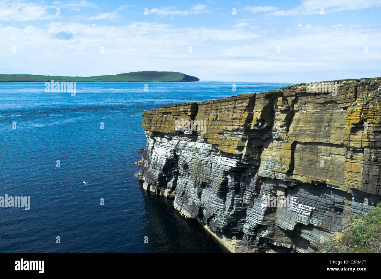 dh Eynhallow Sound ROUSAY ORKNEY View of Orkney mainland  seabird seacliff sounds Stock Photo
