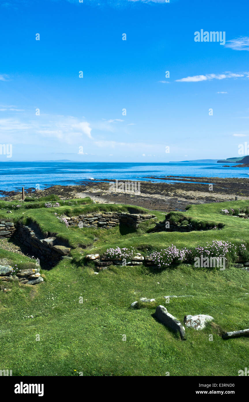 dh Brough of Birsay BIRSAY ORKNEY 9th 12th century Norse Viking settlement ruins Stock Photo