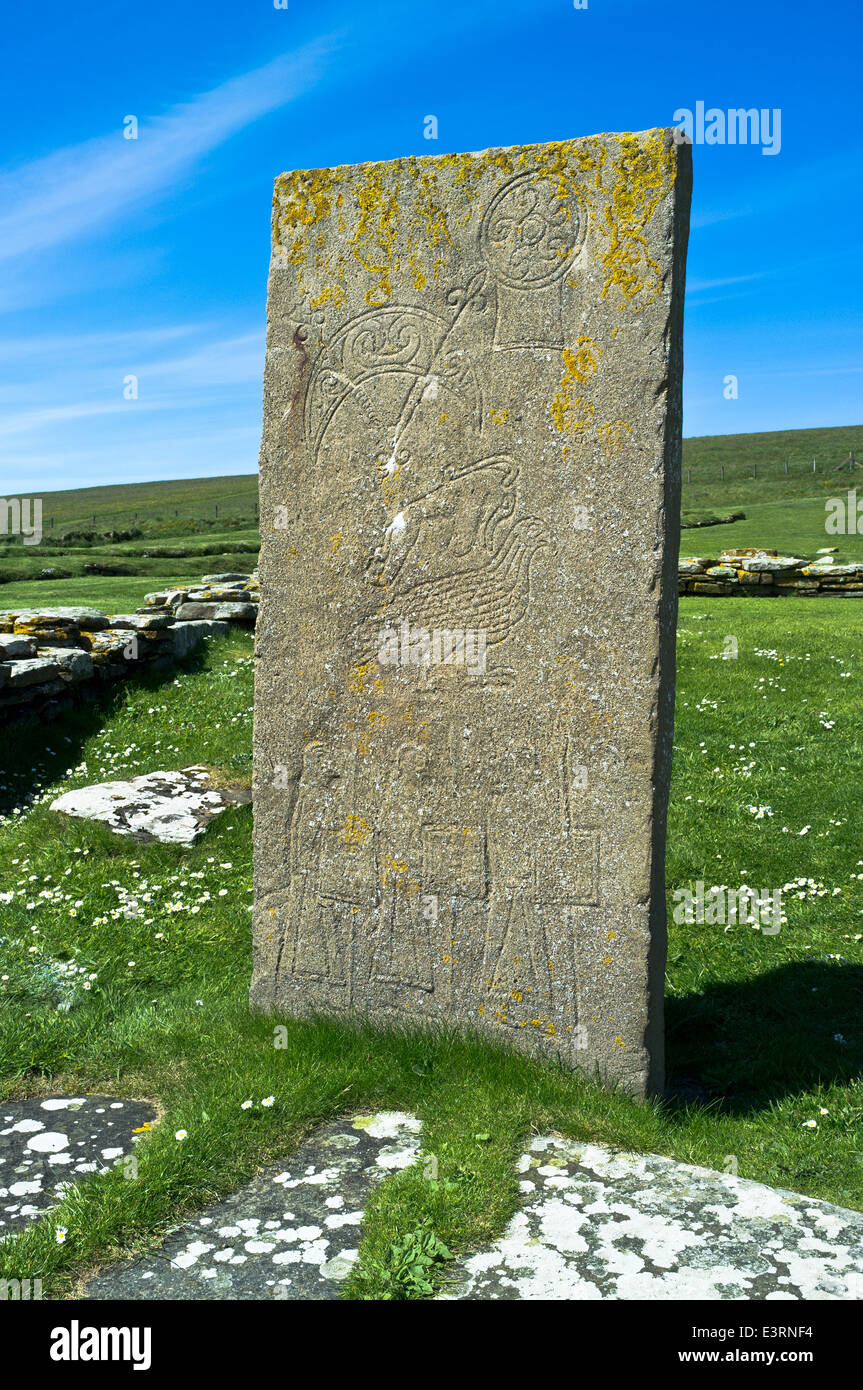 dh Brough of Birsay BIRSAY ORKNEY Pictish art carving Birsay symbol stone replica stones standing scotland pict Stock Photo
