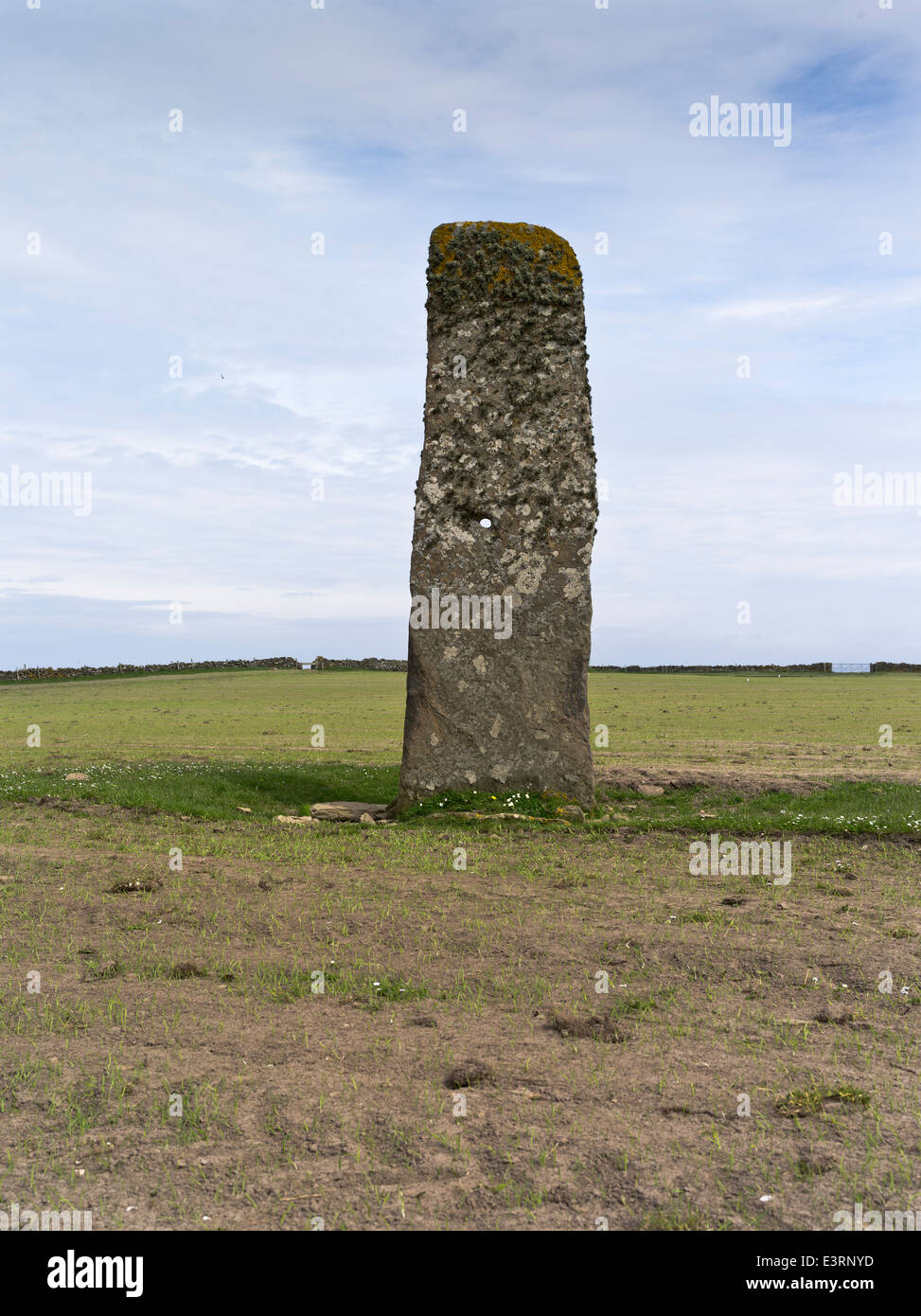 dh Stan Stane NORTH RONALDSAY ORKNEY North Ronaldsay Orkney standing stone large Menhir with hole Stock Photo