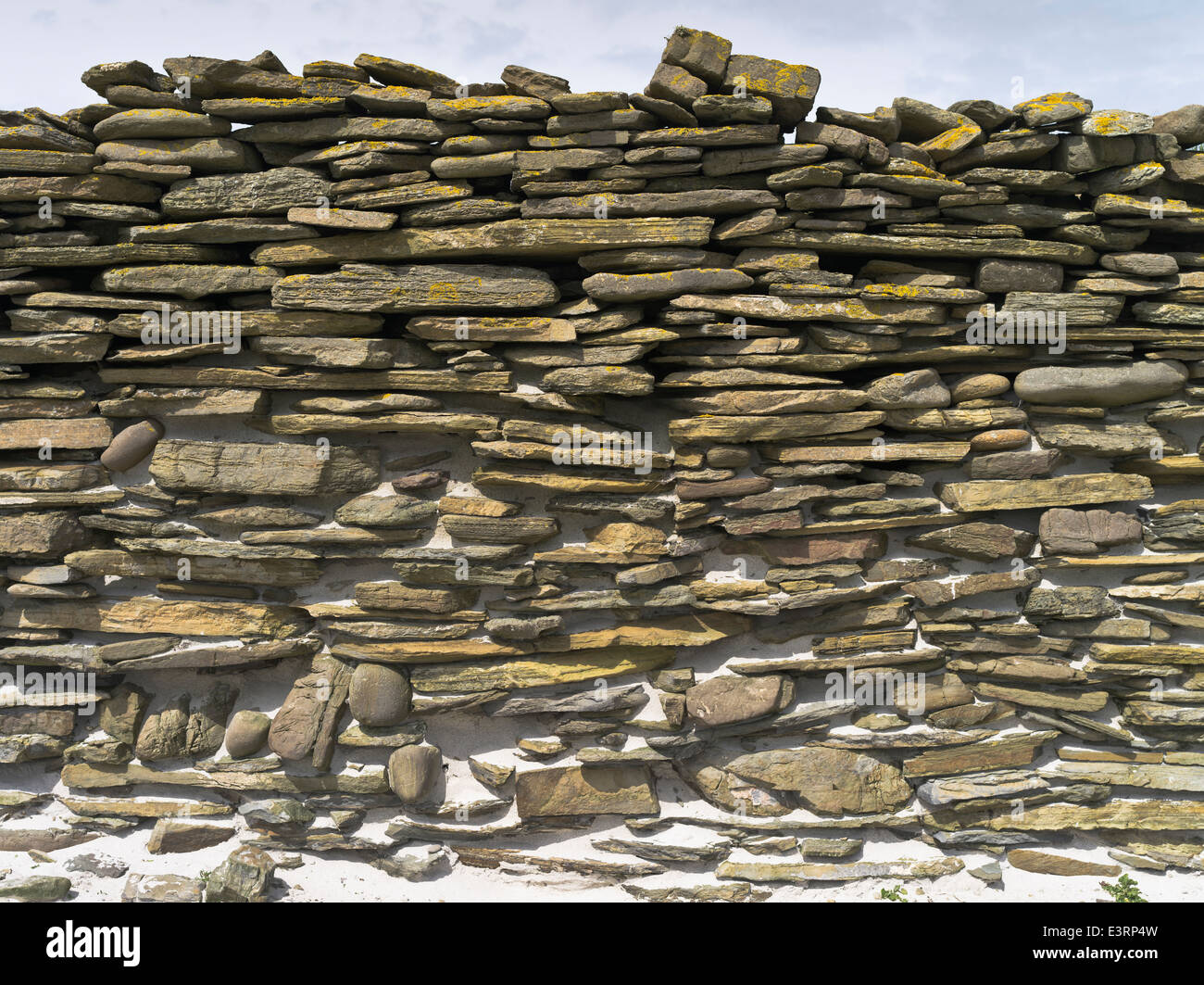 dh Dyke stone wall NORTH RONALDSAY ORKNEY Dry stane walls to keep sheep on seashore texture Stock Photo