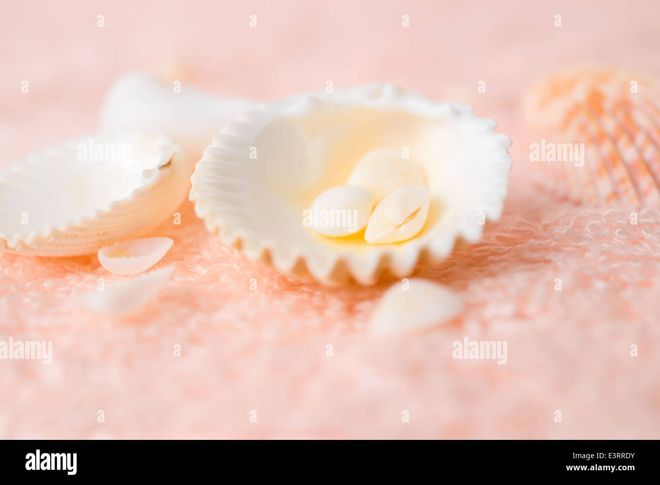 bright seashells on soft pink terry texture, closeup Stock Photo - Alamy