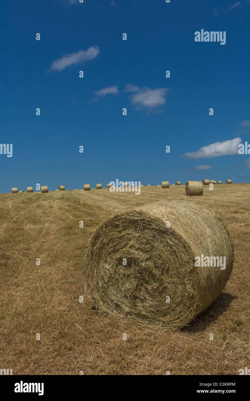 Cornwall agriculture hires stock photography and images Alamy