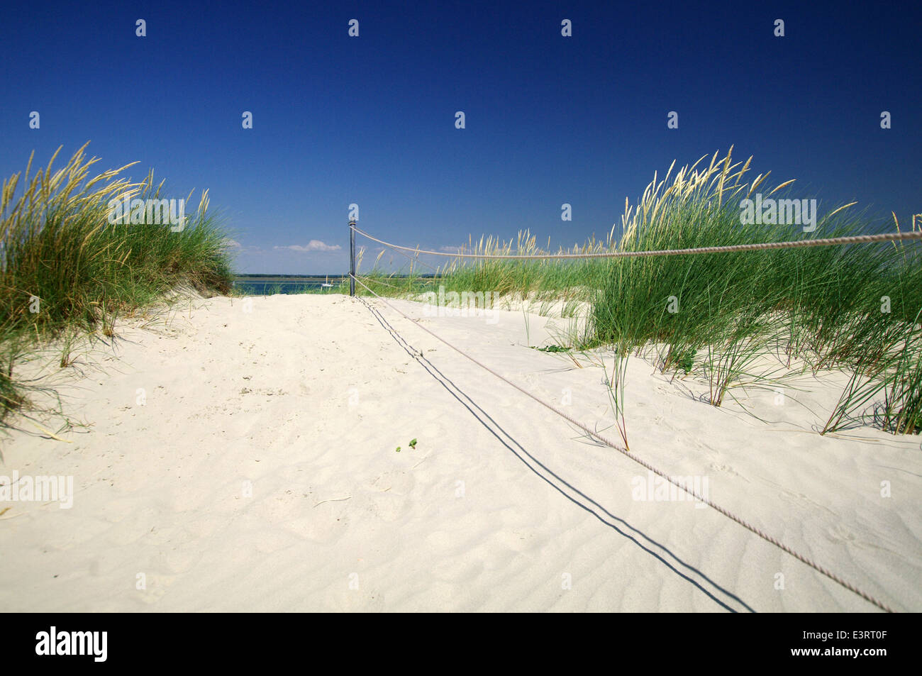 Sand dunes at East Head - West Wittering, Sussex Stock Photo