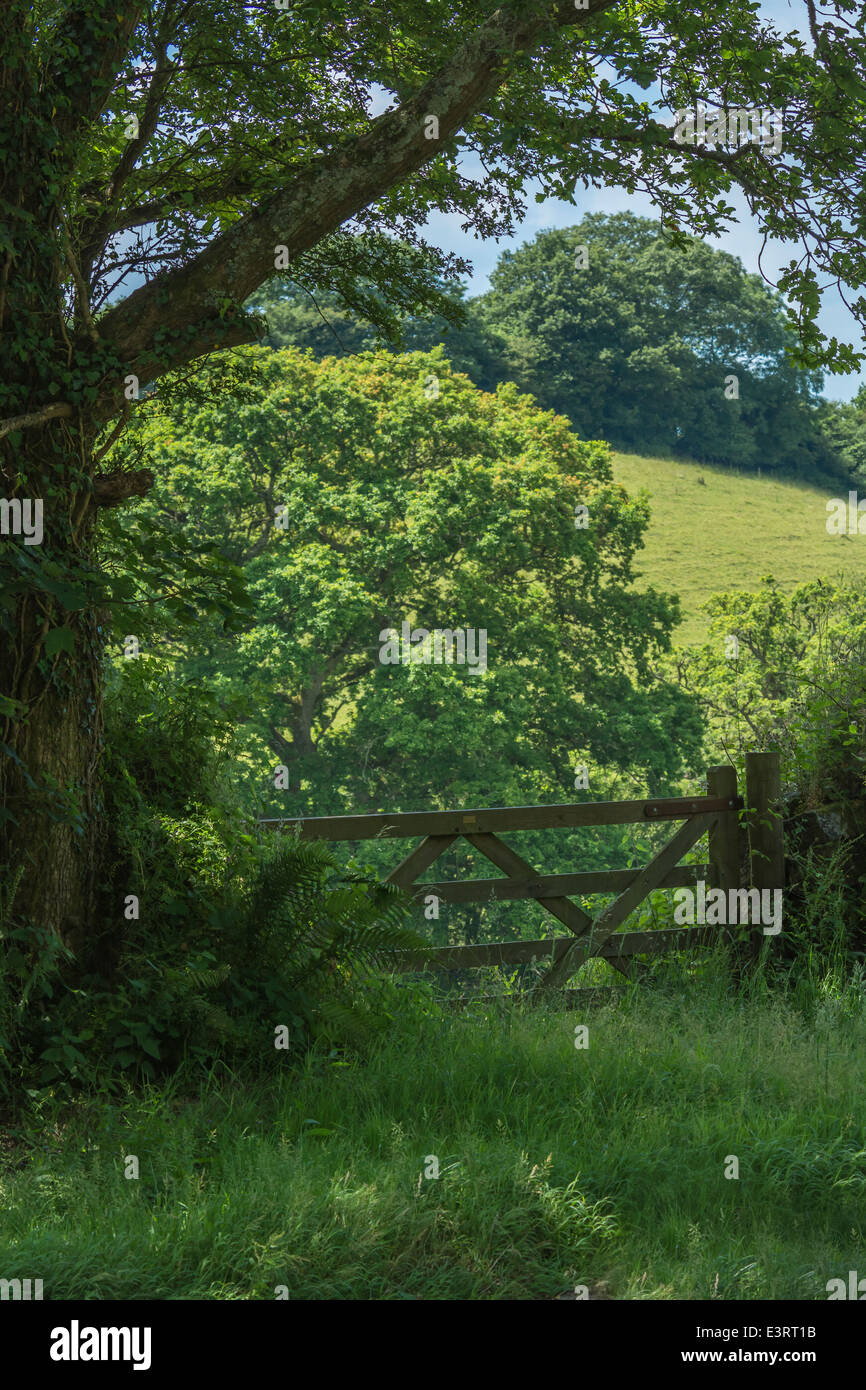 Closed gateway to field [focus on gate structure and foliage of tree beside the gate / background tree out of focus]. Countryside in summer concept. Stock Photo