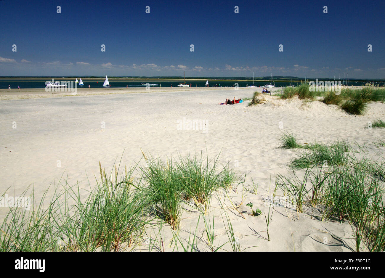 Sand dunes at East Head West Wittering, Sussex Stock Photo Alamy