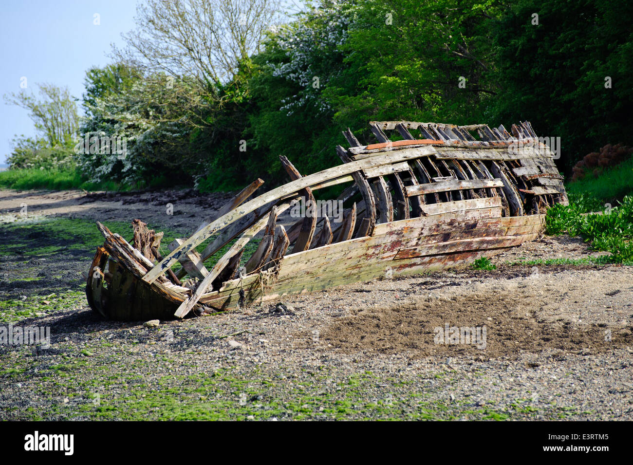 Old fishing boat near Saltmills, Co. Wexford, Ireland Stock Photo