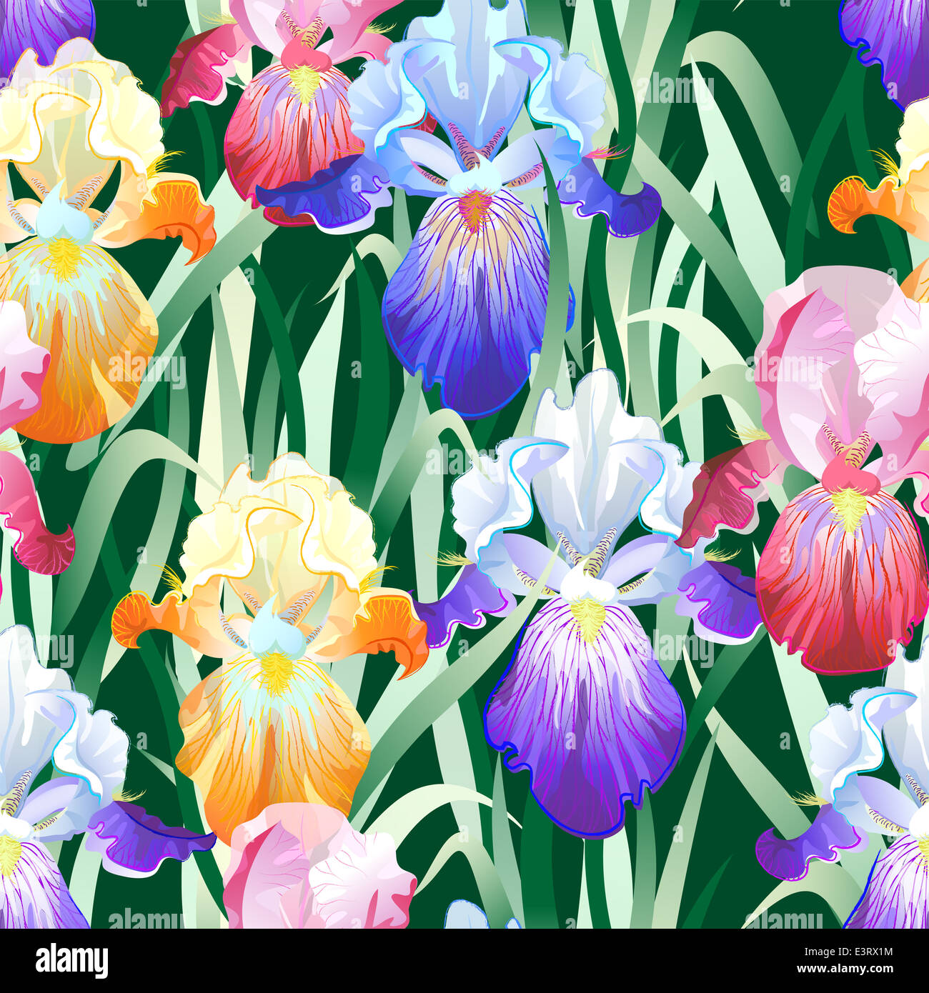 Seamless Pattern with Multicolored Iris Flowers Stock Photo