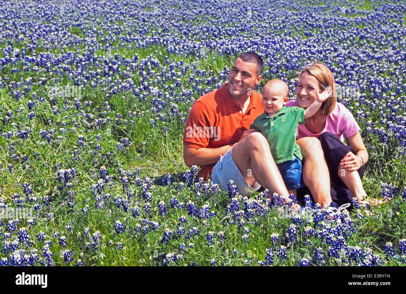 A young couple and their playful son relax on a sunny day in a field of bluebonnets, the official state flower of Texas, USA. Model released. Stock Photo