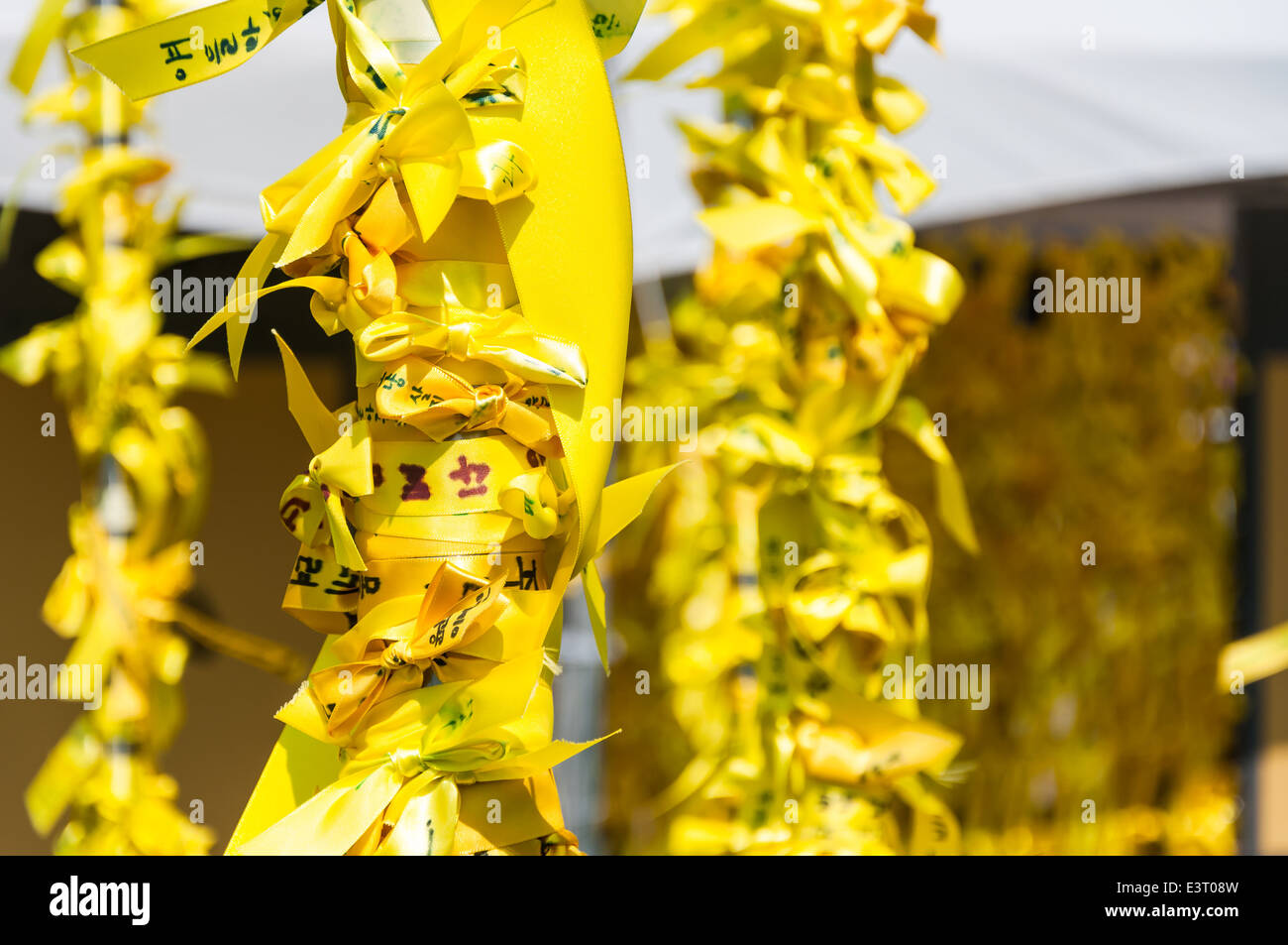 Yellow ribbons hang outside of Seoul City Hall on May 6, 2014 in memory