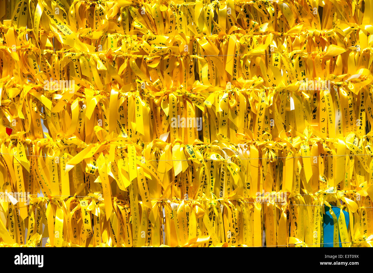 Yellow ribbons hang outside of Seoul City Hall on May 6, 2014 in memory
