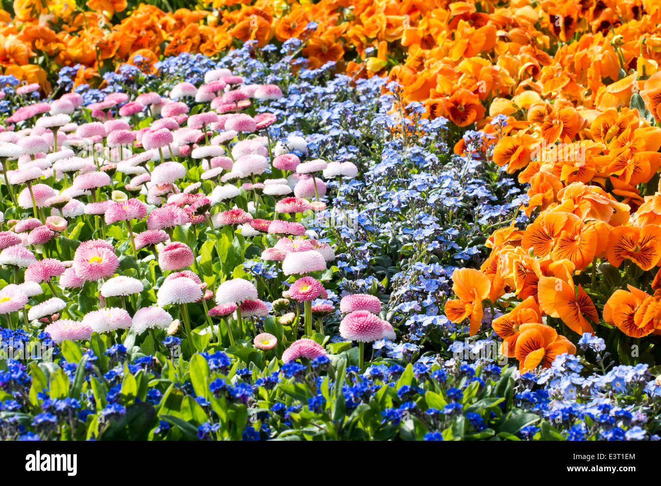 Garden with a flower bed full of gorgeous blossoms Stock Photo