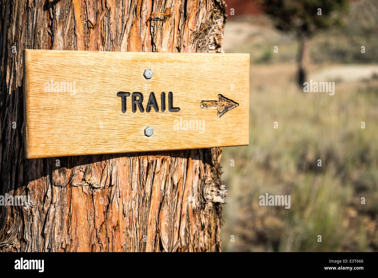 Trail Sign on Tree Trunk in central Oregon Stock Photo