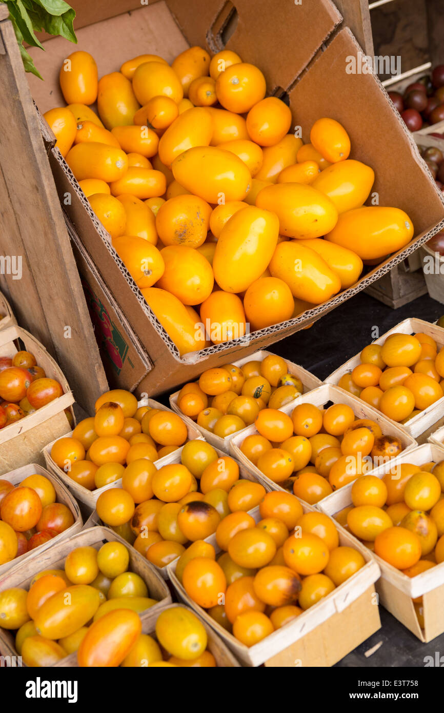 Locally grown organic tomatoes on display at the weekly farmers market ...
