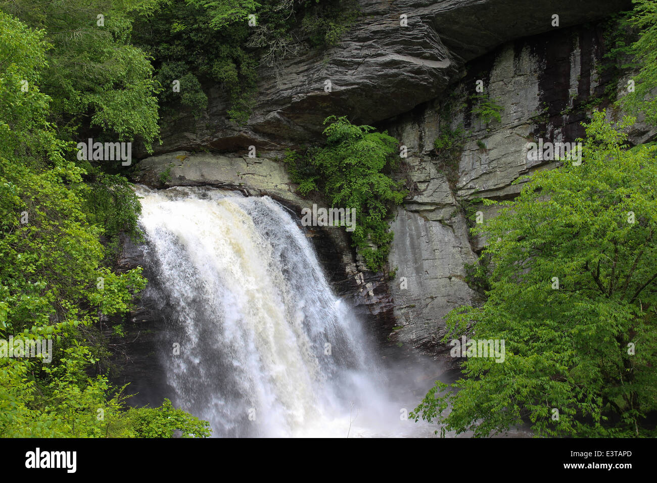 Looking Glass Falls in Pisgah National Forest near Brevard, NC after a substantial amount of rain. Stock Photo