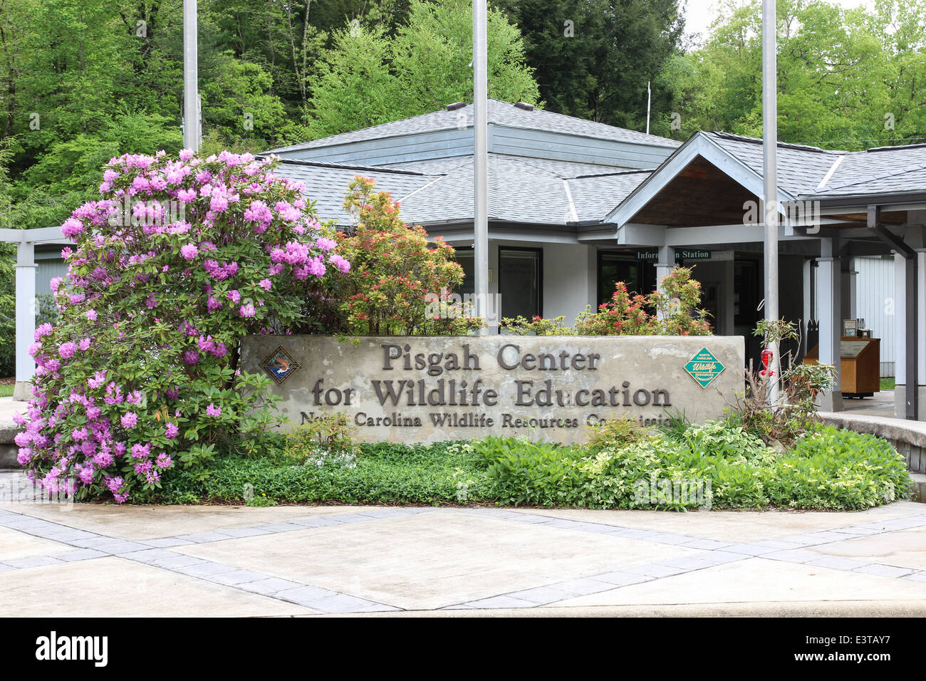 Pisgah Center for Wildlife Education in Pisgah National Forest near Brevard, North Carolina is the home of a fish farm, Stock Photo