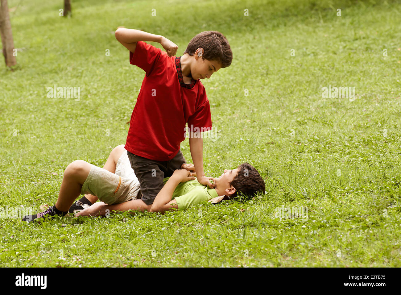 Two young brothers fighting and hitting on grass in park, with older boy sitting over the younger Stock Photo