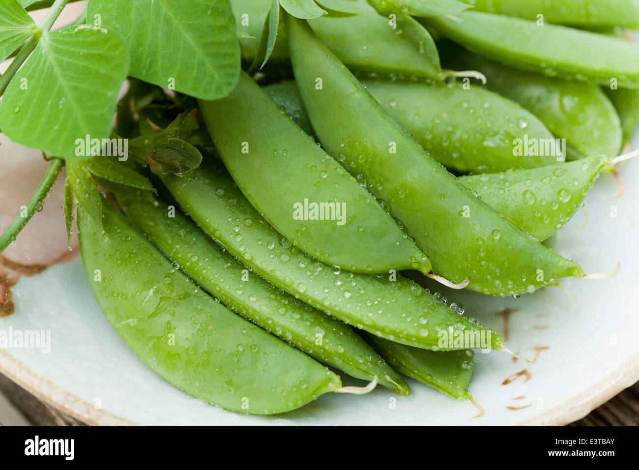Freshly picked peas on plate Stock Photo