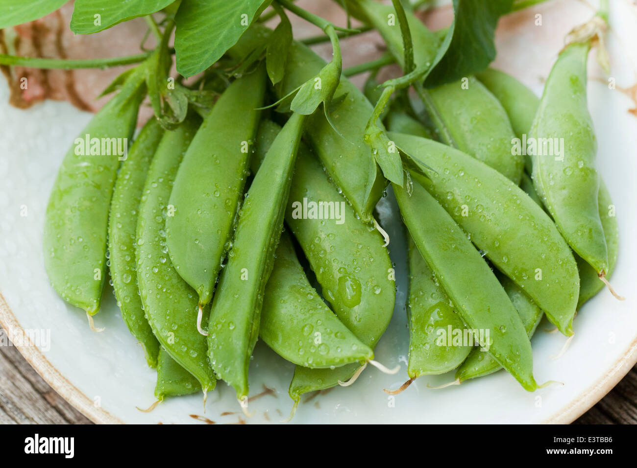 Freshly picked peas on plate Stock Photo