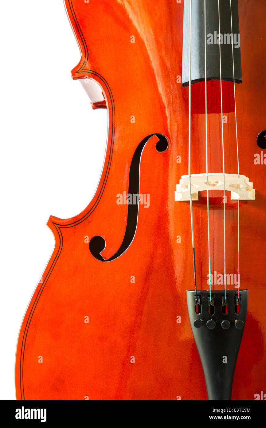 Violin on white background Stock Photo
