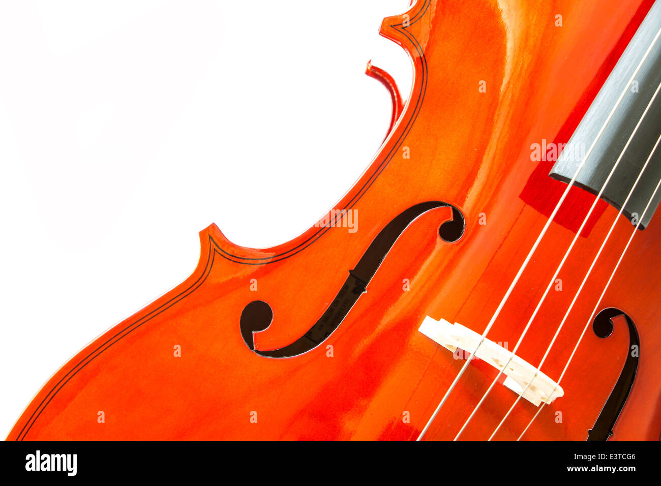Violin on white background Stock Photo