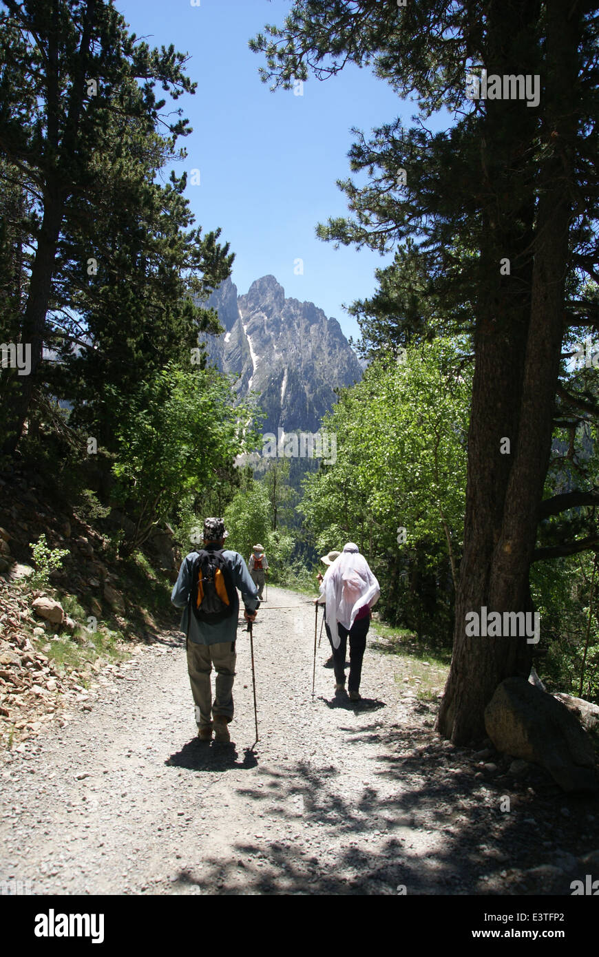 Aigüestortes i Estany de Sant Maurici National Park, Catalonia, Spain Hikers in the park Stock Photo