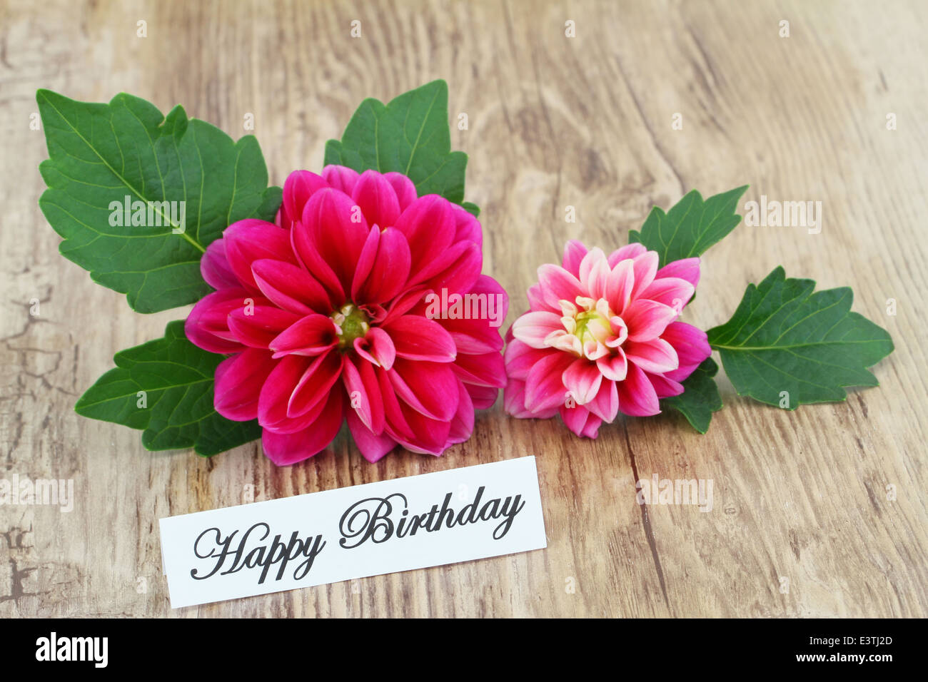 Happy Birthday card with pink dahlia Stock Photo - Alamy