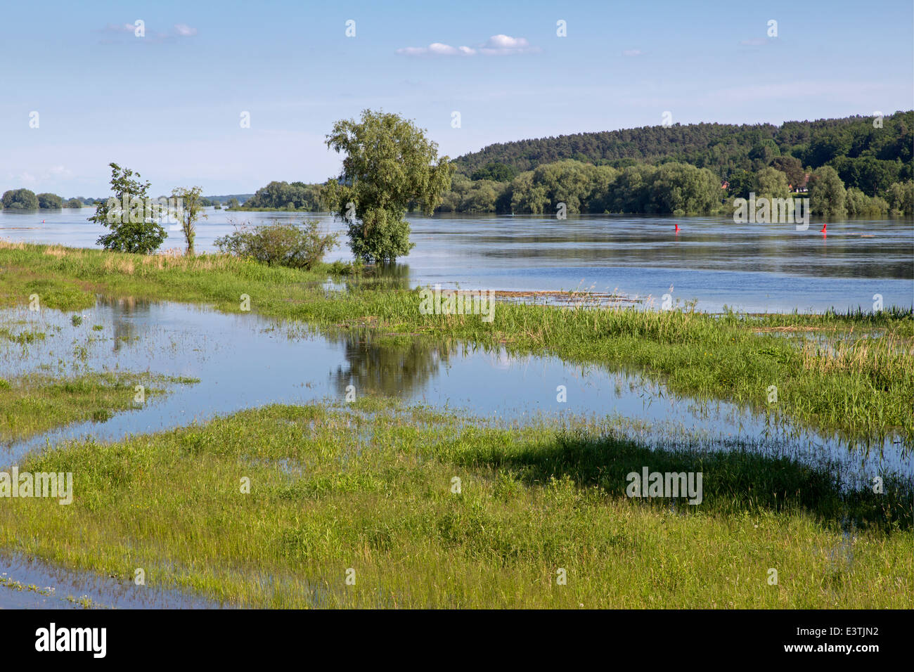 High water Elbe near Dömitz, 2013, Germany, Europe Stock Photo