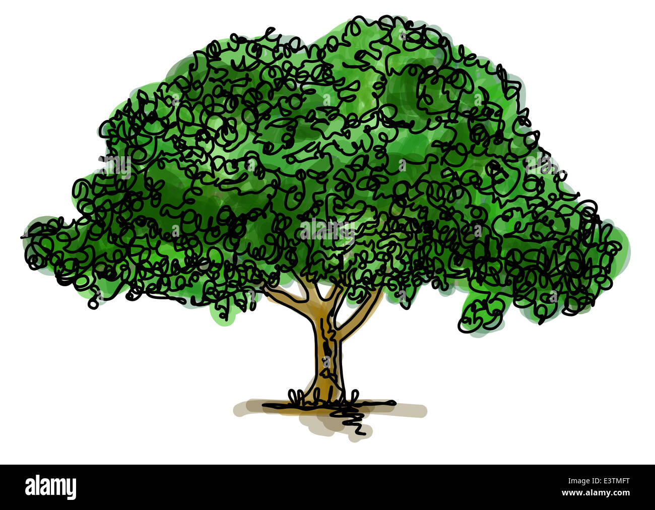 Continuous line drawing of an oak tree Stock Photo