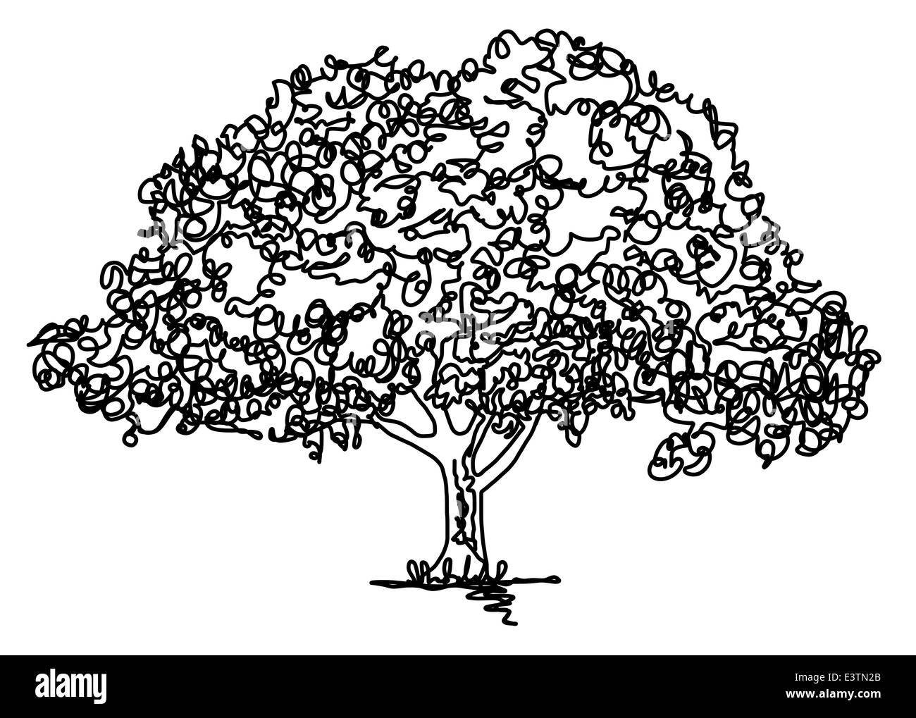 Continuous line drawing of an oak tree Stock Photo