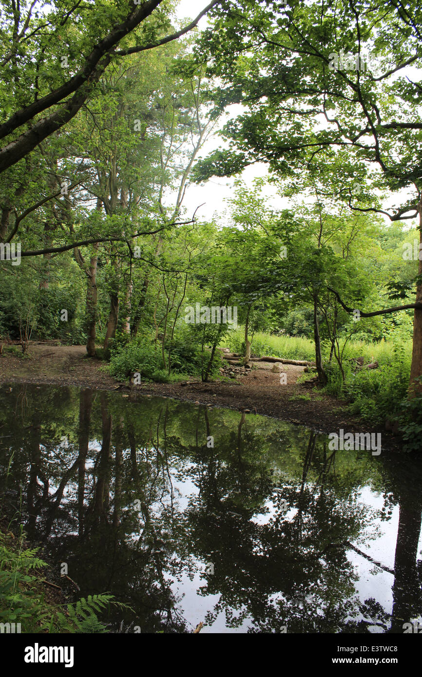 Moseley Old Hall Stock Photo Alamy