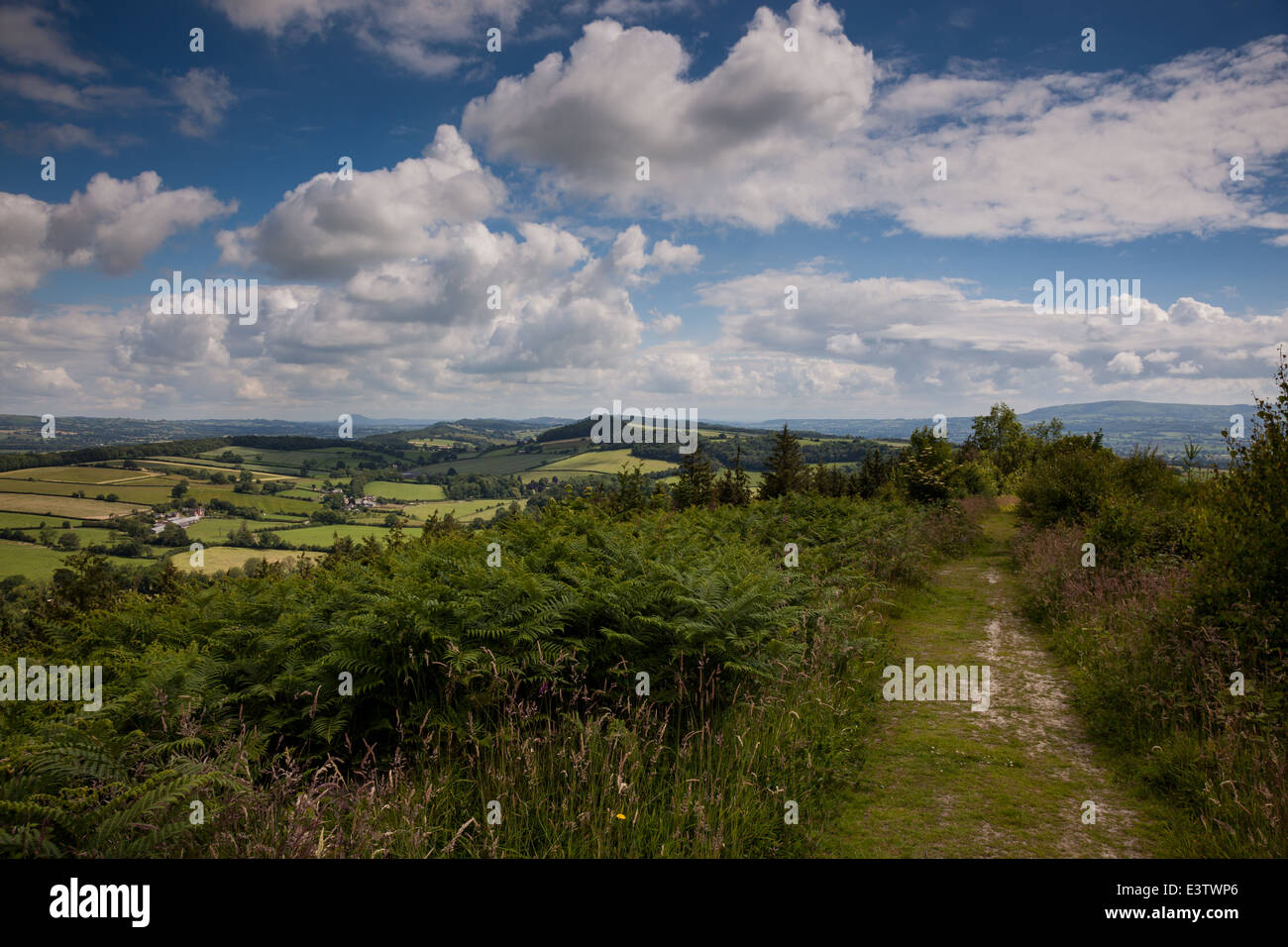 The path along Callow Hill, looking across mid-Shropshire, and Wenlock Edge, near Craven Arms, Shropshire, England, UK Stock Photo
