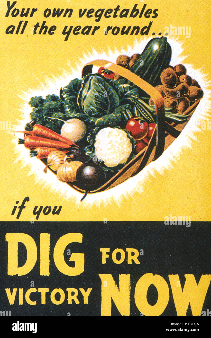United Kingdom second world war dig for victory now leaflet Stock Photo