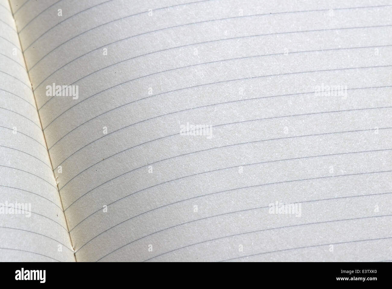 Blank ruled notebook page Stock Photo