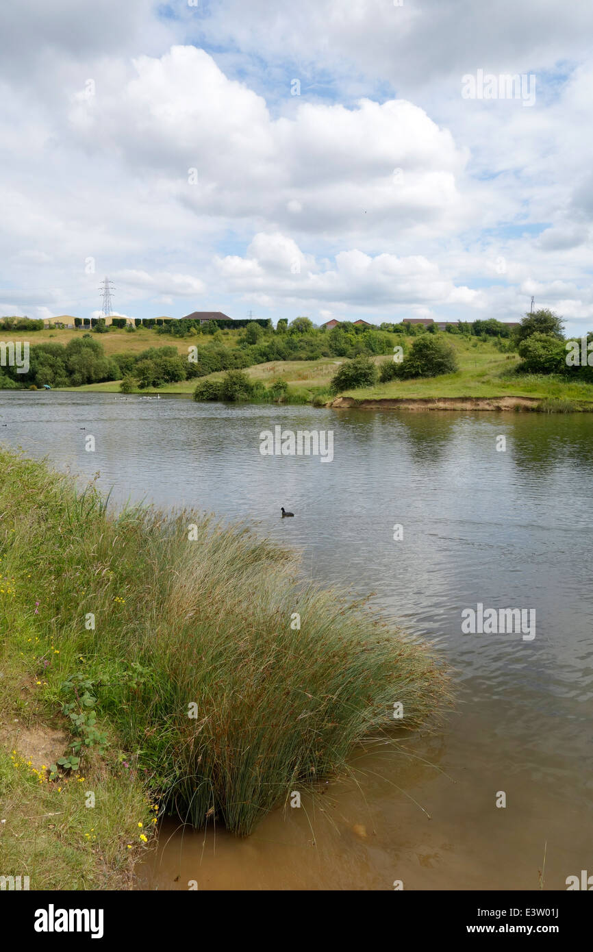 Middle Pool, Buckpool & Fens Pool Nature Reserve, Brierley Hill, West Midlands, England, UK Stock Photo