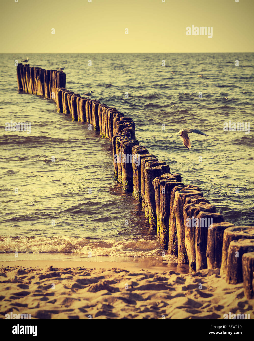Wood pilings on beach, vintage retro instagram effect Stock Photo - Alamy