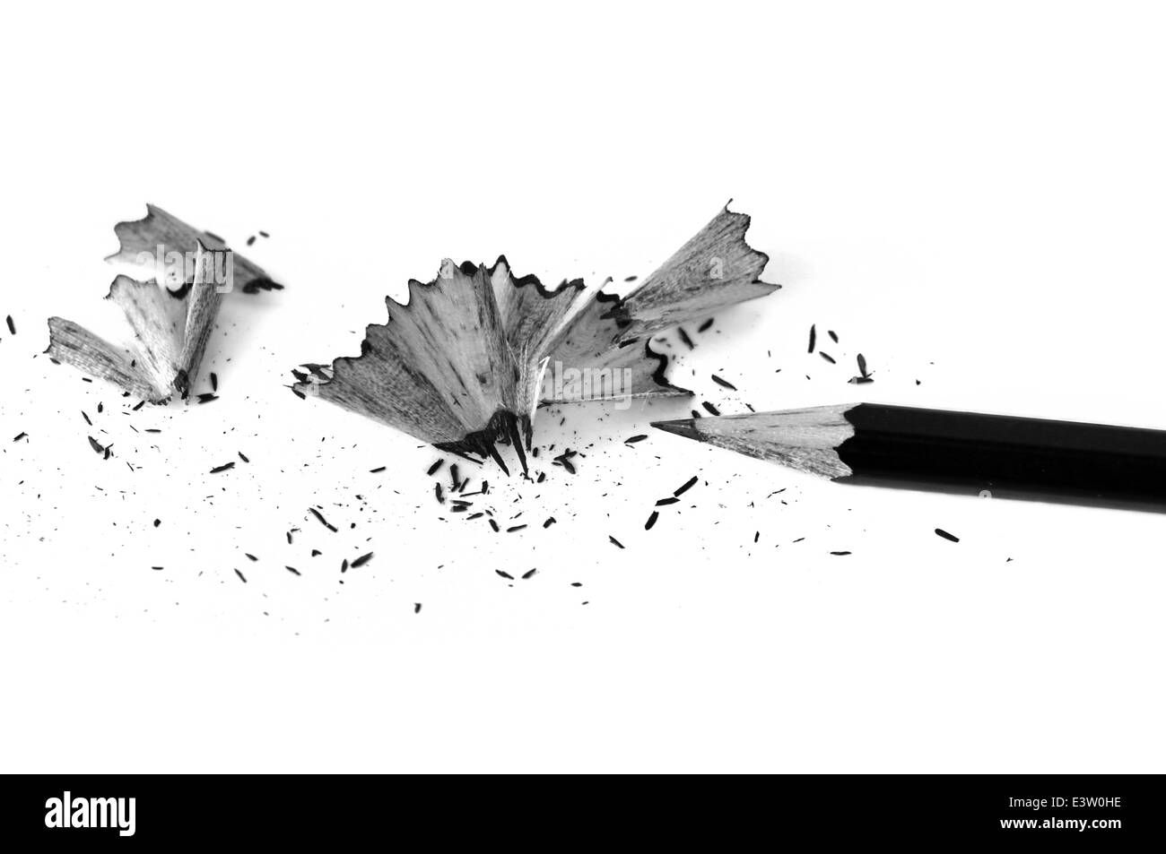 Sharpened pencil and shavings background. Black and white. Stock Photo