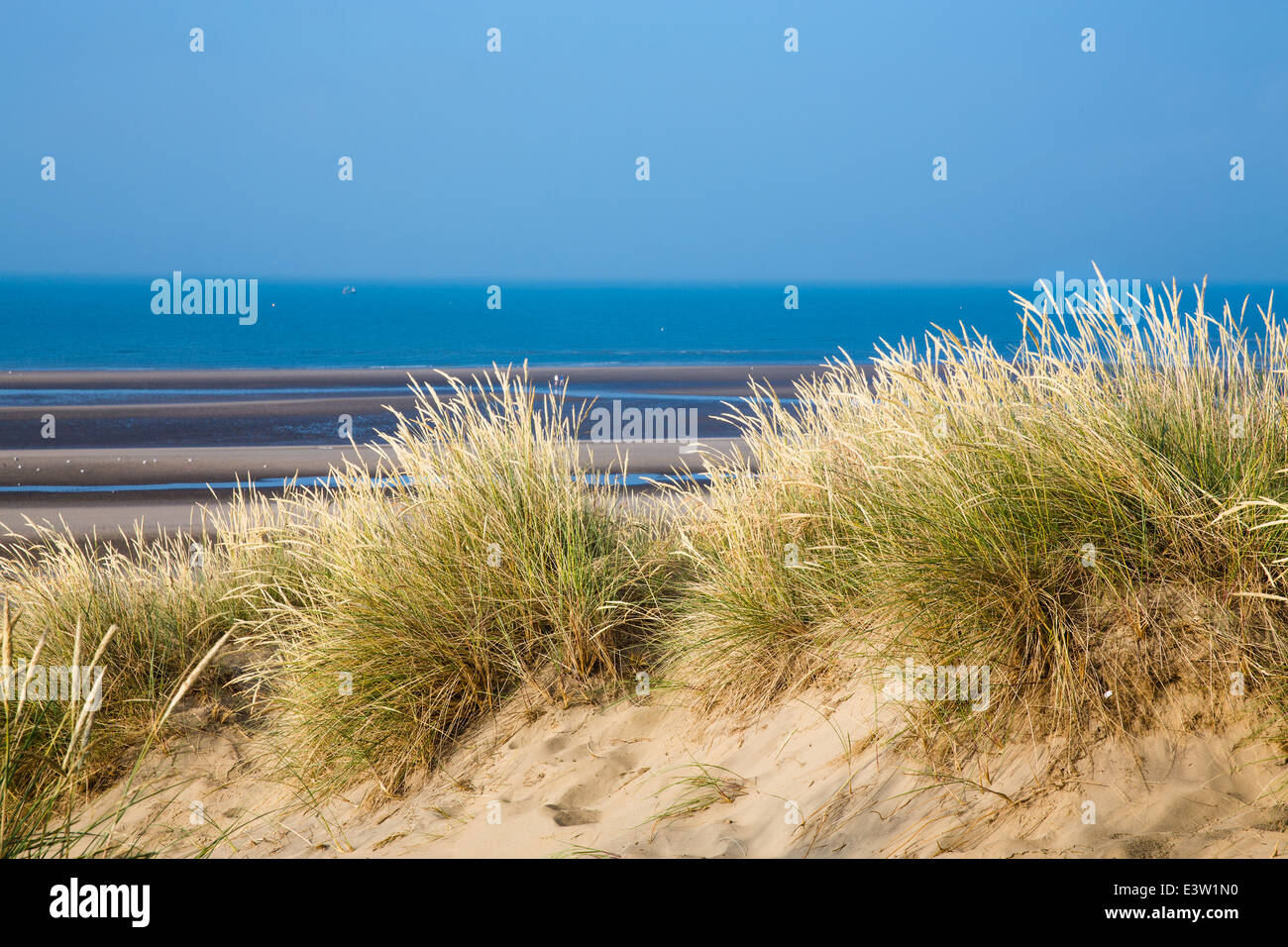 Close up of grass and sand dunes with sea in the background - Camber Sands, East Sussex, England Stock Photo