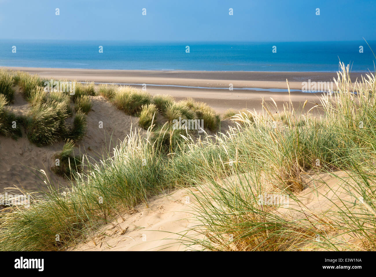 Big sunny empty beach with grass and dunes in summer - Camber Sands, East Sussex, England Stock Photo