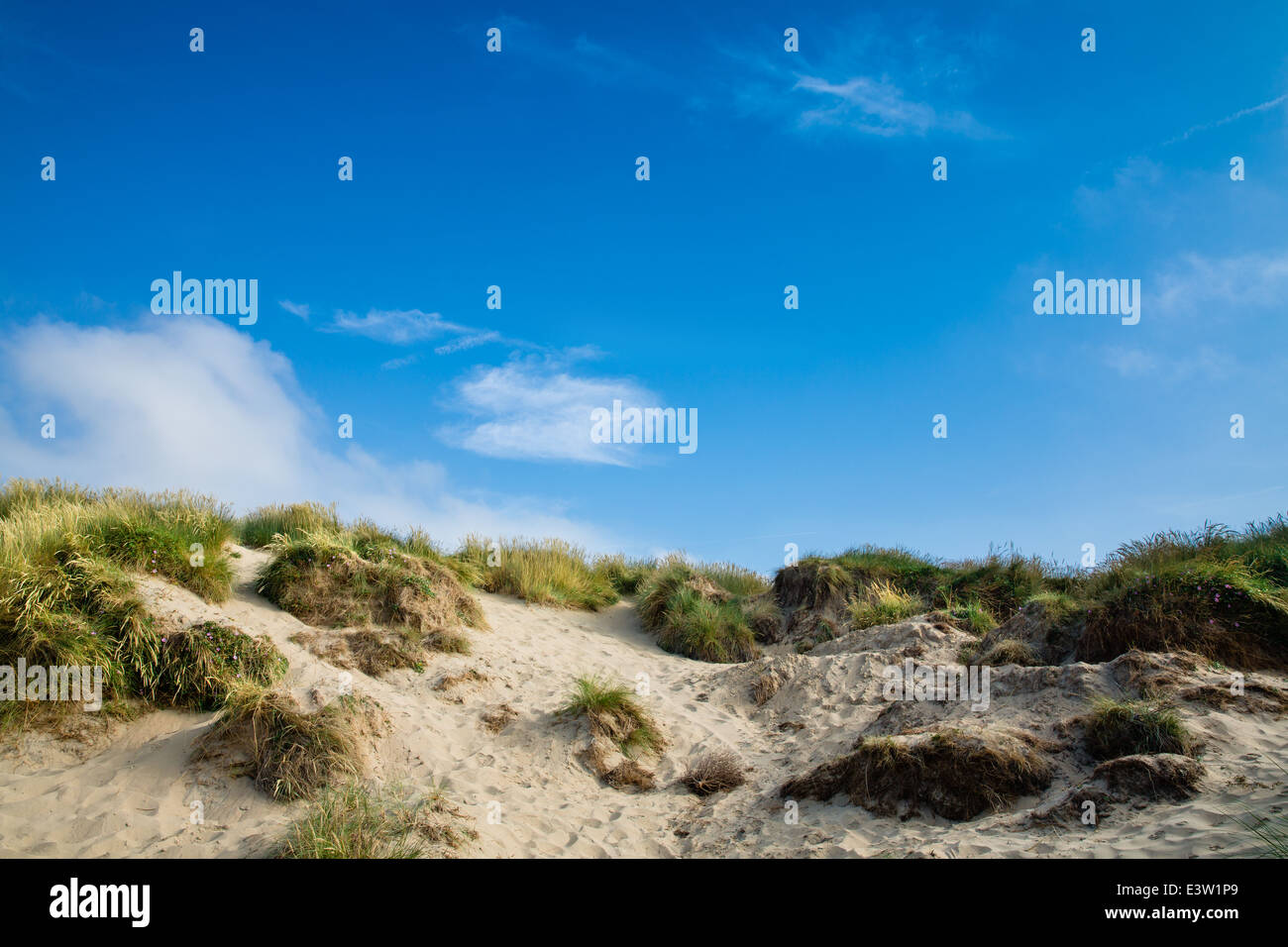 Beautiful dunes and grass with blue sky - Camber Sands, East Sussex, England Stock Photo