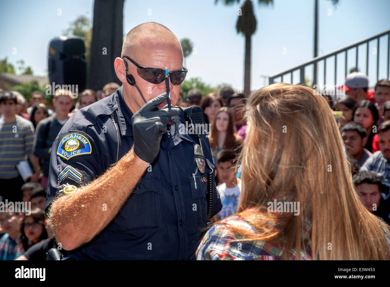 A volunteer high school girl plays the part of a driver being interrogated by a policeman in a dramatization of the danger of drunk driving in Anaheim, CA, as he moves a pen before her eyes to test her level of intoxication. Note multiracial student audience in background. Stock Photo