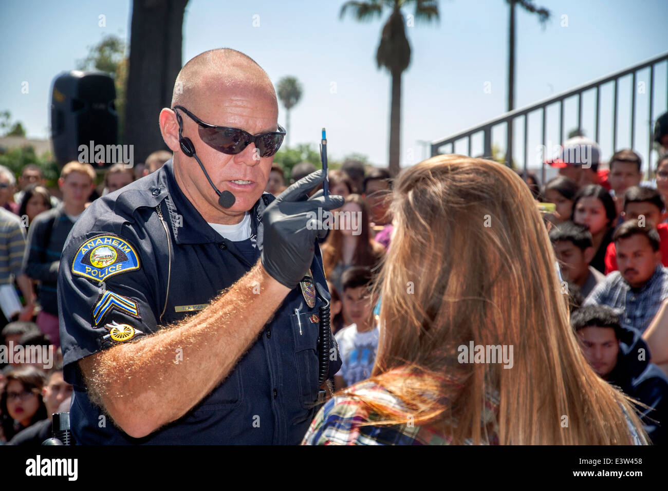 A volunteer high school girl plays the part of a driver being interrogated by a policeman in a dramatization of the danger of drunk driving in Anaheim, CA, as he moves a pen before her eyes to test her level of intoxication. Note multiracial student audience in background. Stock Photo