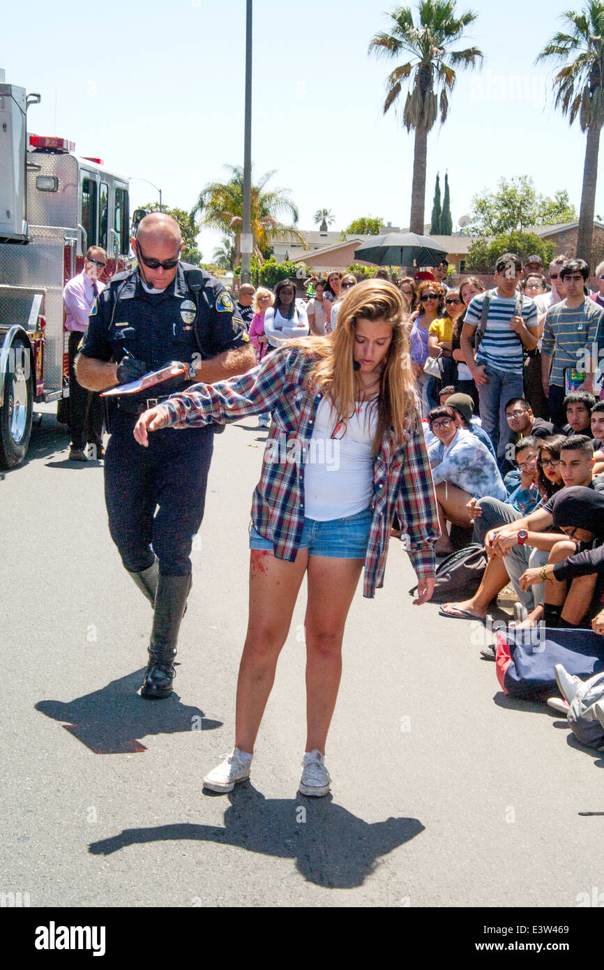 A volunteer high school girl plays the part of a driver being interrogated by a policeman in a dramatization of the danger of drunk driving in Anaheim, CA, as he makes her walk to test her level of intoxication. Note multiracial student audience in background. Stock Photo