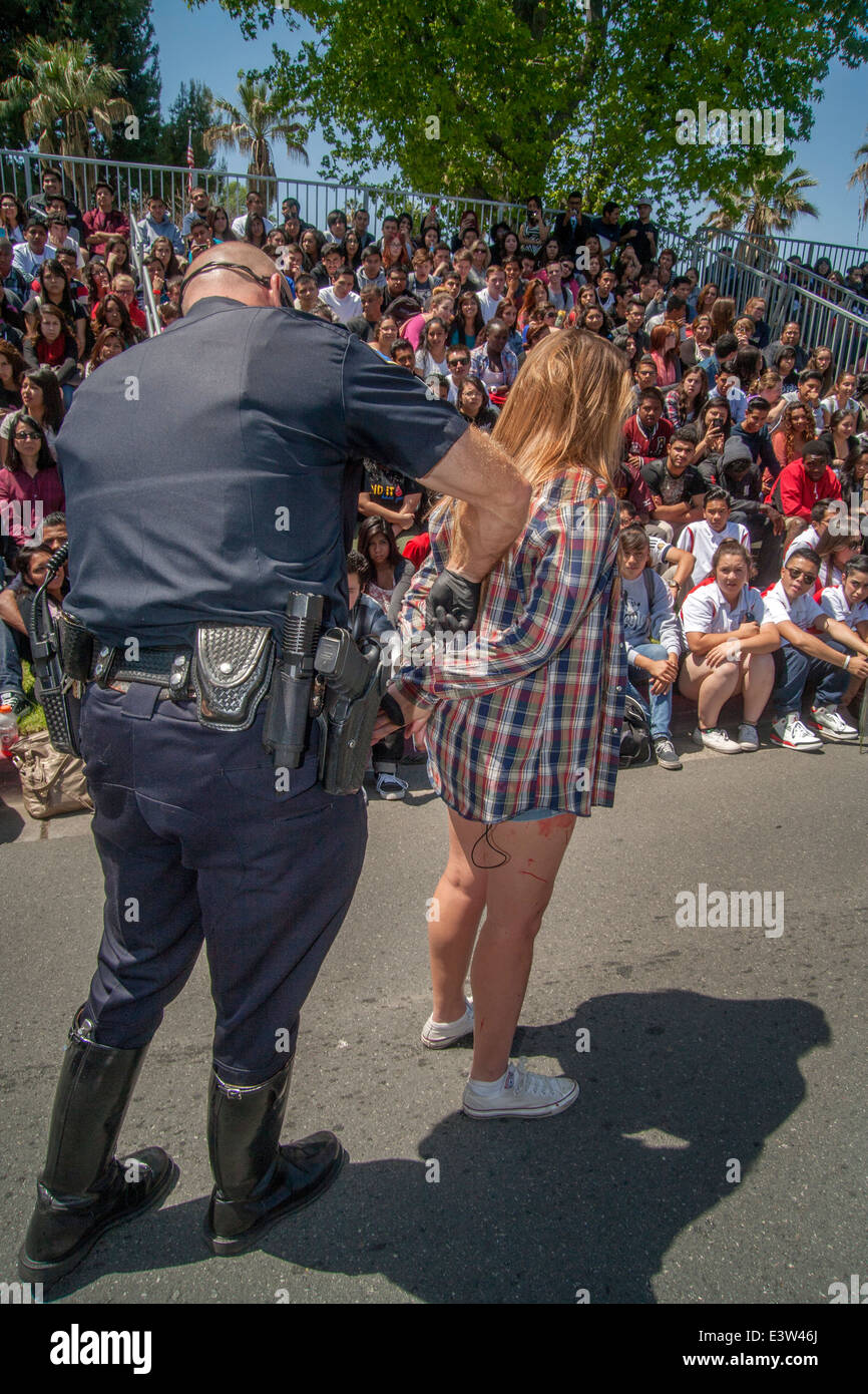 A volunteer high school girl plays the part of an intoxicated driver being arrested by a policeman in a dramatization of the dangers of drunk driving in Anaheim, CA. Note multiracial student audience in background. Stock Photo