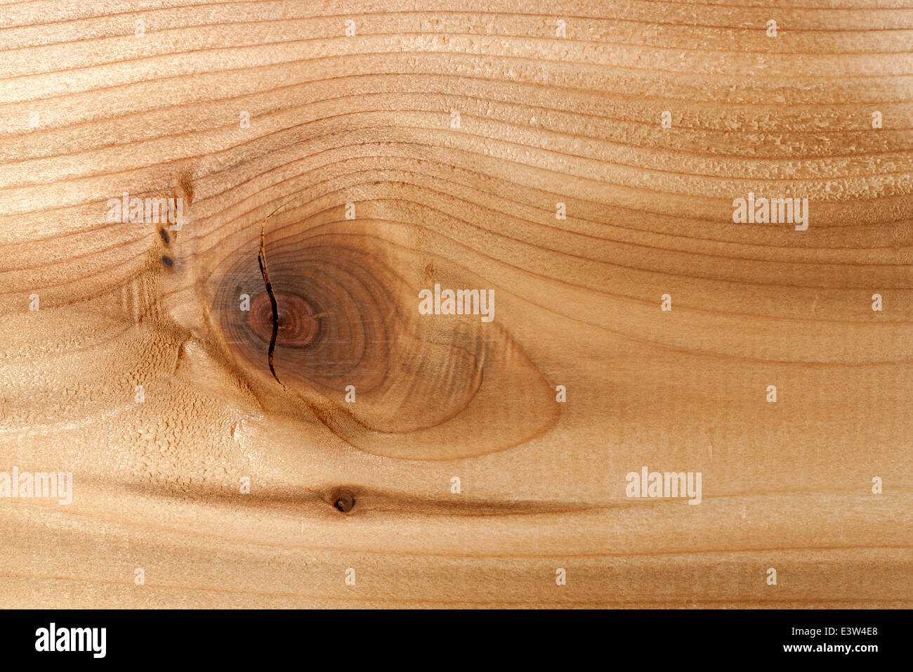 Closeup of red cedar plank showing knot texture and natural woodgrain pattern as wood background Stock Photo