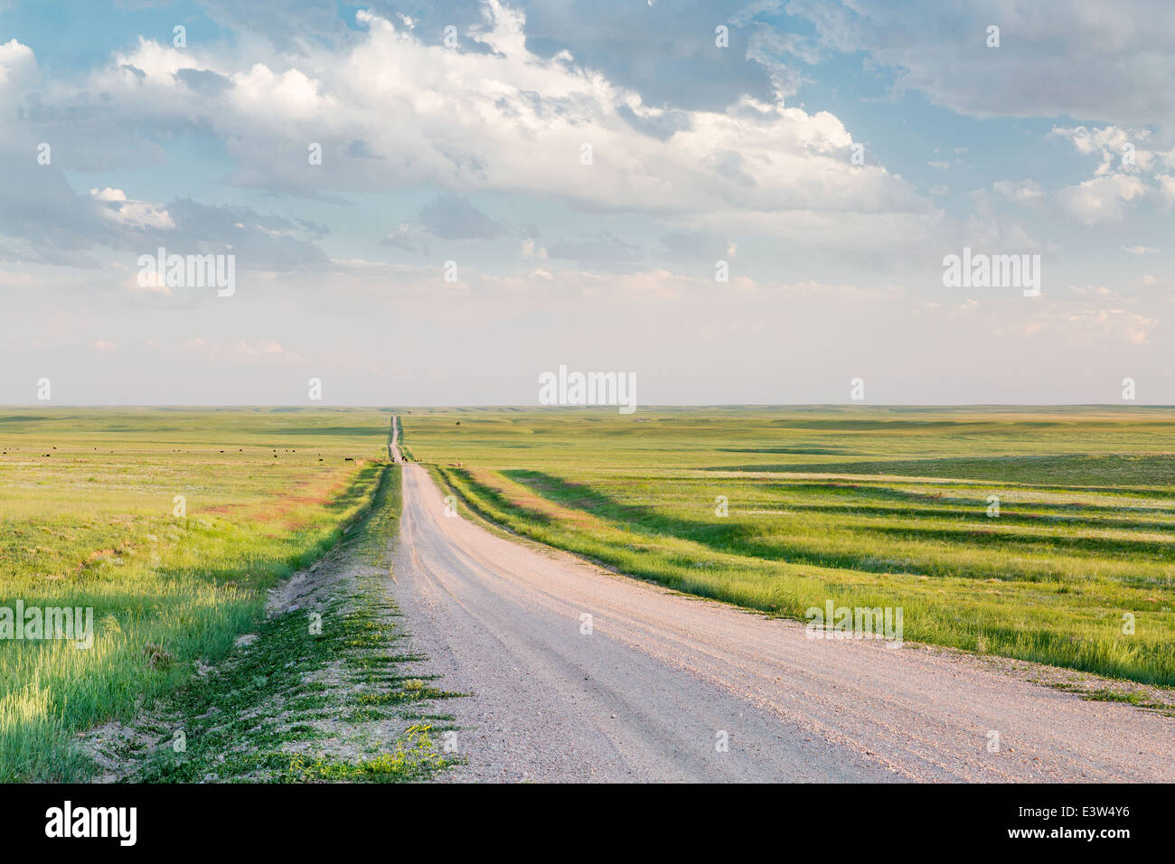 rural road in eastern Colorado prairie in springtime, Pawnee National Grassland Stock Photo